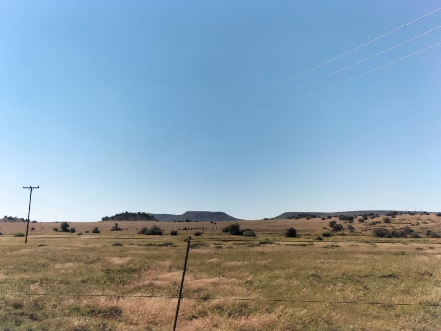 4 Bedroom Property for Sale in Bloemfontein Rural Free State